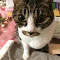 Zhang Yong kim