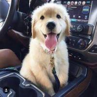Connie