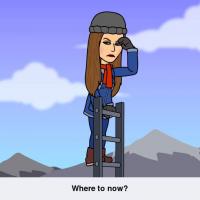 Lisa VH