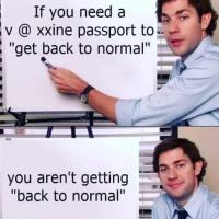 M Snyder