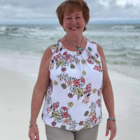 Judy Meyer magyar