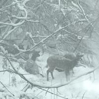 John Dick