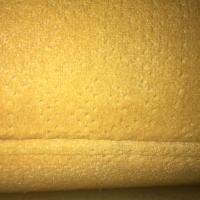 Alexis Lucas