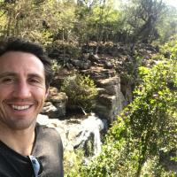 Davis Wilson Kennedy