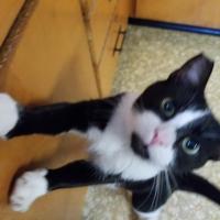 Wendy Fouse