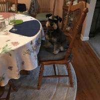 Linda Krone