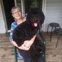 Becky Ouellette