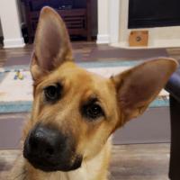 Laurie Sweeting