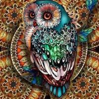Lora Shaver