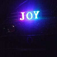 Diana Steele
