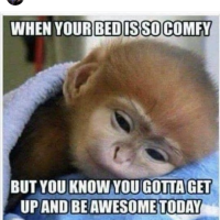 Connie Harter
