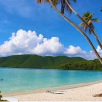 Rhonda Geesaman