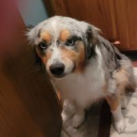 Emily Beigh