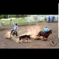 Jason garner