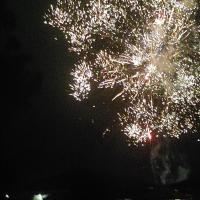 Vicki Stephens