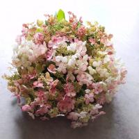 Valerie Dedmon
