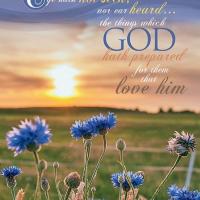 Kathleen Felix