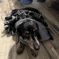 Leona Bush