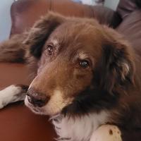James James