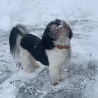 Erin Albert