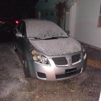 Mary Ann Fantini