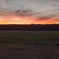 Tyberius the conqueror
