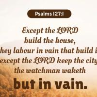 Ann Truthwillsetyoufree