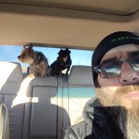 Josh Wiant