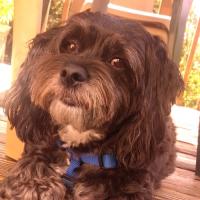 Kathy Flowers-Ivory