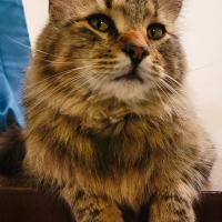 Christina Class