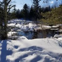 Mike Koszycki