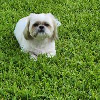 Dwayne clark
