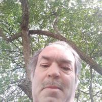 Dan Carrico
