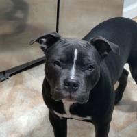 Mike walker
