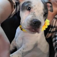 Brian Buber
