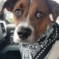 Eugene