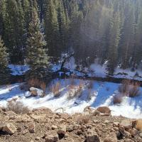 Hoyt West
