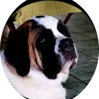 Jeffrey H Ruth