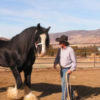 Dave Gunter