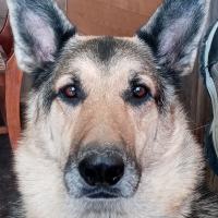 john allen