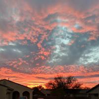 Myriam Huerta