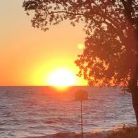 Cathy K