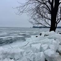 Kurt Bark