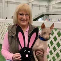 Cheryl Dibert