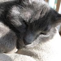 Daniel Spangler