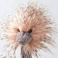 Gina
