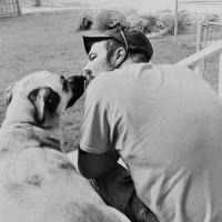 Troy malcom