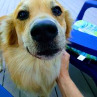 Donna Rausch Brown