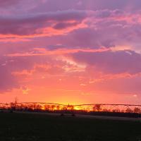 Ed Kimes
