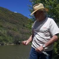 Don Holman
